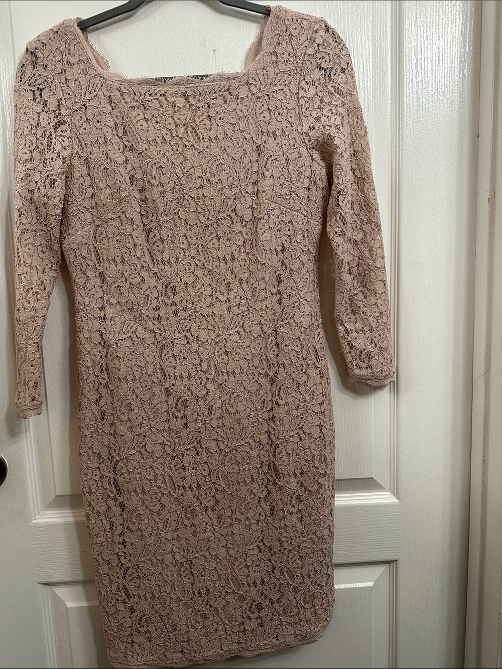 Adrianna Papell Blush Lace Long-Sleeve Sheath Dress